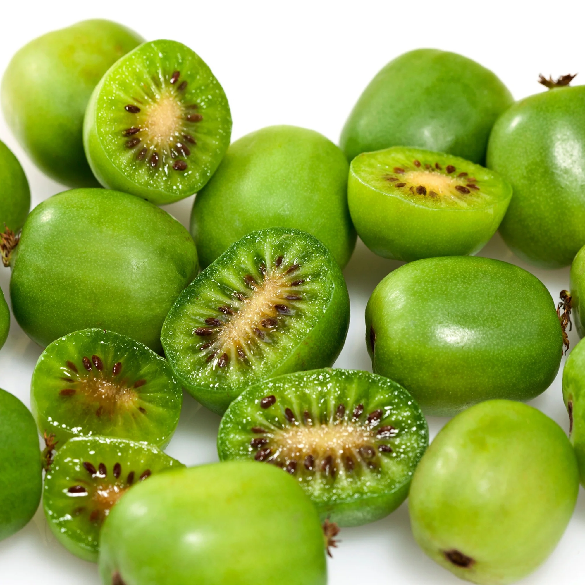 Actinidia arguta 'Issai'  - Kiwi 'Issai' (autofertile) - Image 3