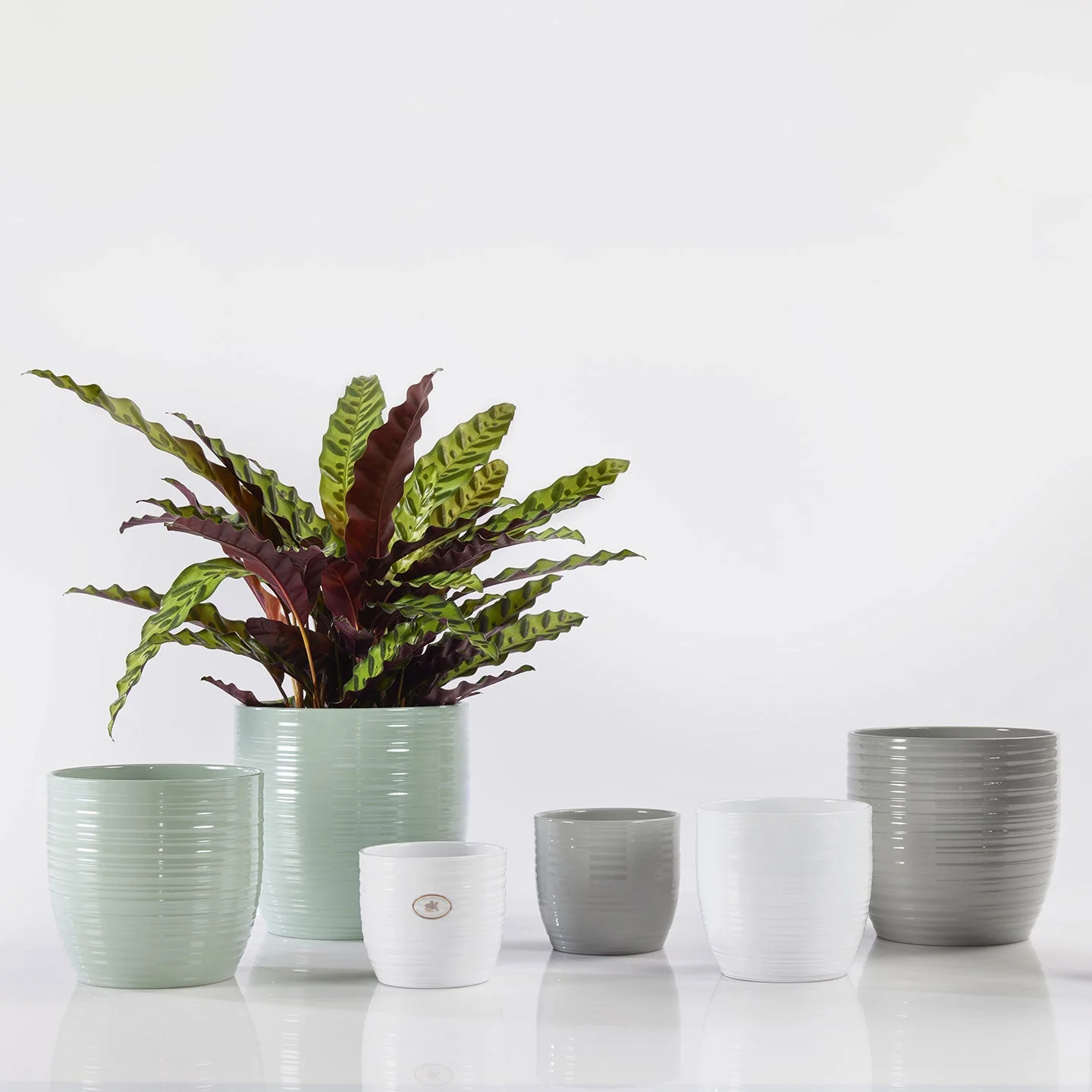 Cache-pot pour plante d'intérieur - Collection Bergamo Pure - Image 3