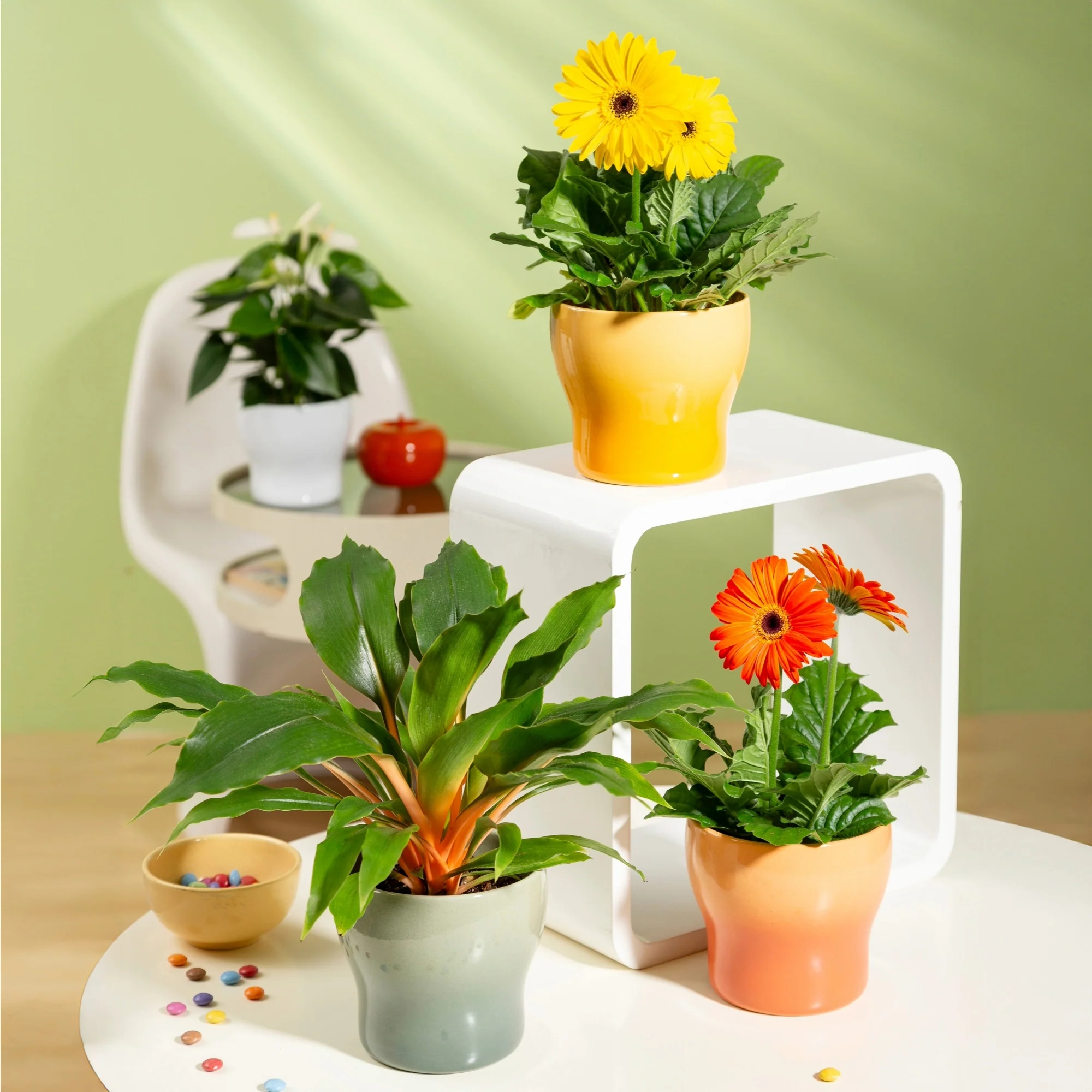 Miniature 1