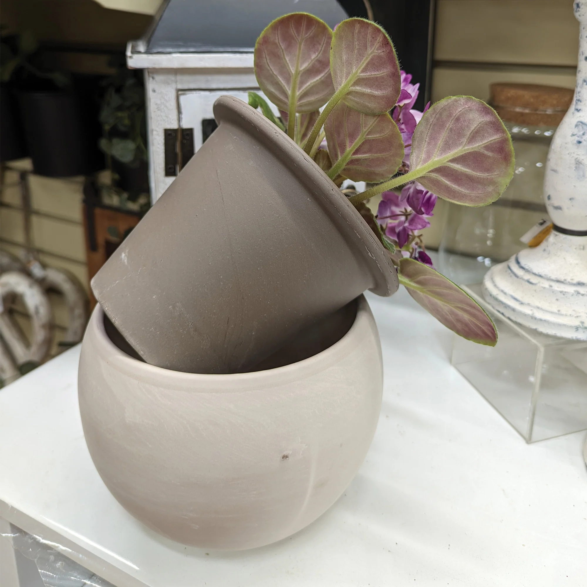 Pot plantes d'intérieur Aquatic Luna - Spang - Image 4